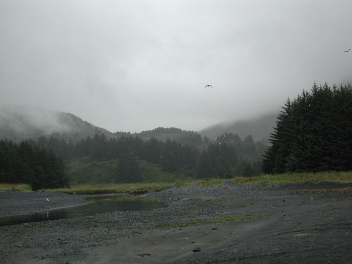 Kodiak Beach 1.jpg 37.8K